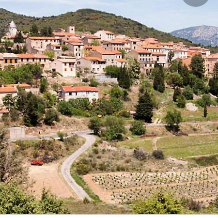 Gite L'Olivier Βίλα Cucugnan Εξωτερικό φωτογραφία