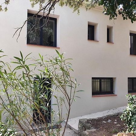 Gite L'Olivier Βίλα Cucugnan Εξωτερικό φωτογραφία
