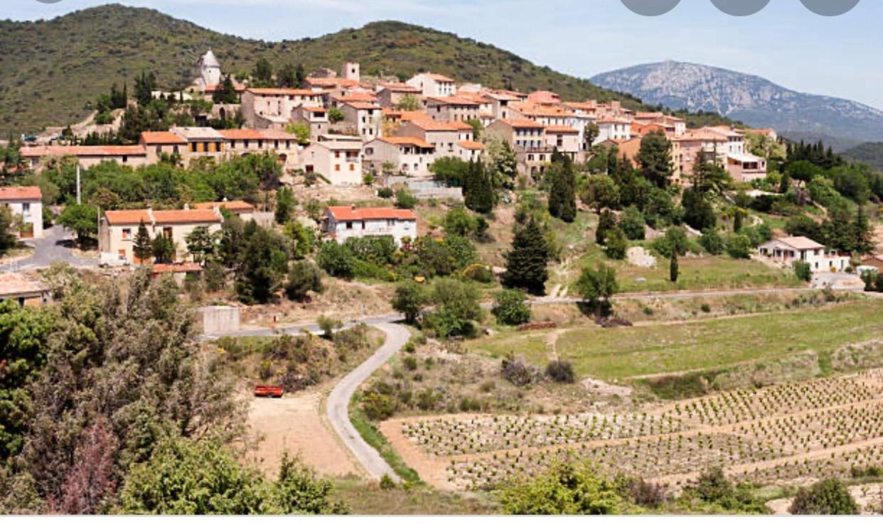 Gite L'Olivier Βίλα Cucugnan Εξωτερικό φωτογραφία
