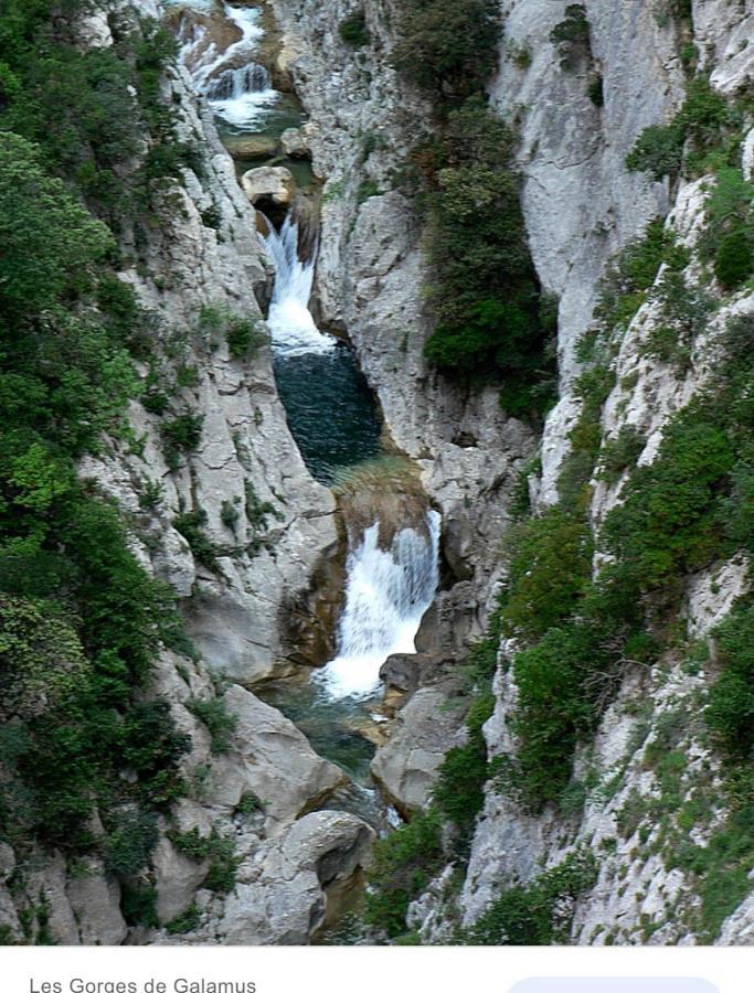 Gite L'Olivier Βίλα Cucugnan Εξωτερικό φωτογραφία