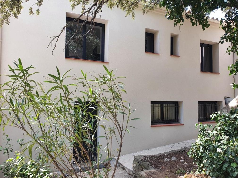 Gite L'Olivier Βίλα Cucugnan Εξωτερικό φωτογραφία
