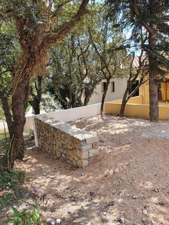 Gite L'Olivier Βίλα Cucugnan Εξωτερικό φωτογραφία